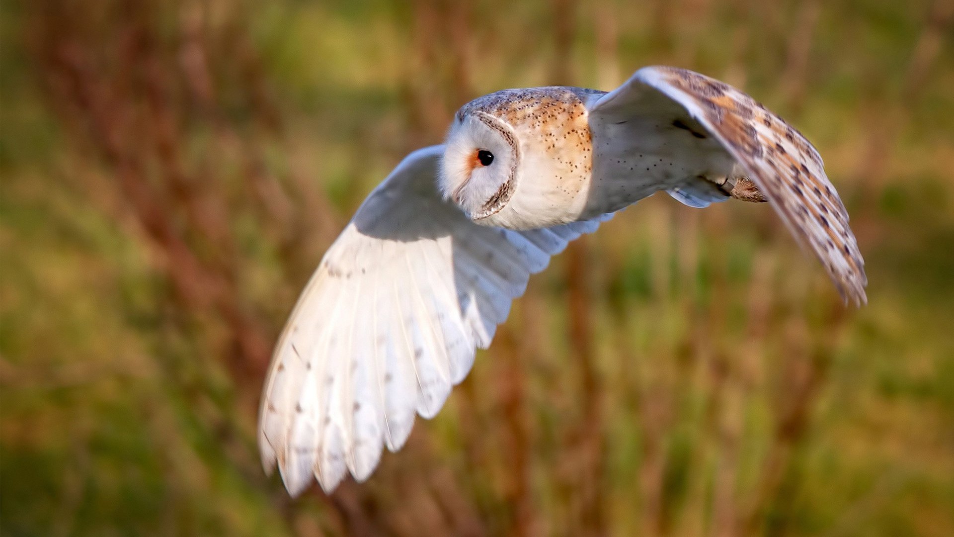 中国足球国家队心理调适训练常态化开展,足球运动员的心理训练