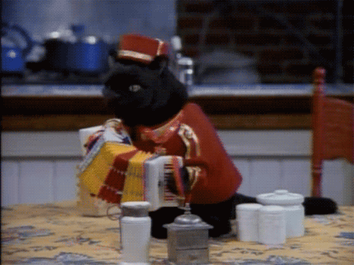 南非橄榄球赛事吸引大量观众，市场价值稳步上升，南非 橄榄球