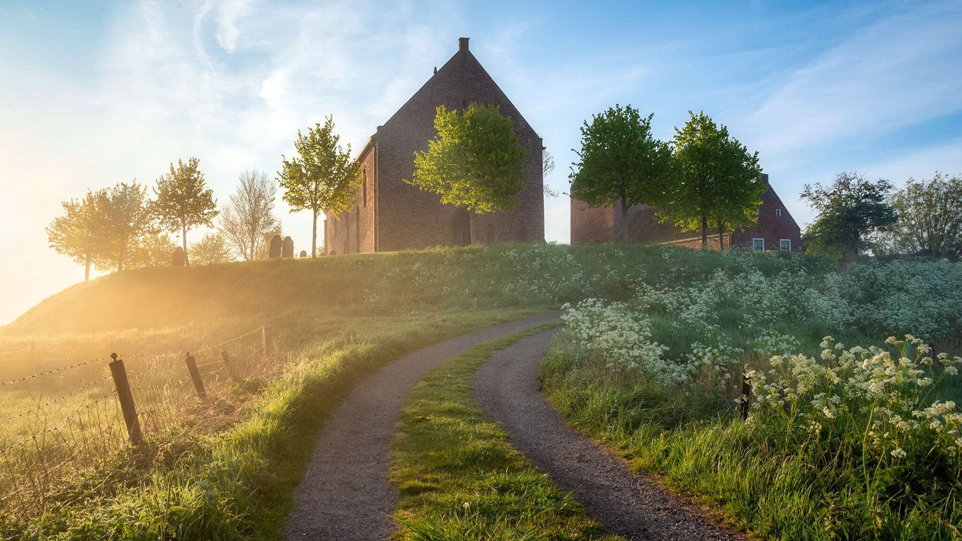 九游sports-塞尔维亚女篮在欧洲锦标赛中表现出色，力争成为冠军，塞尔维亚女篮球世界排名