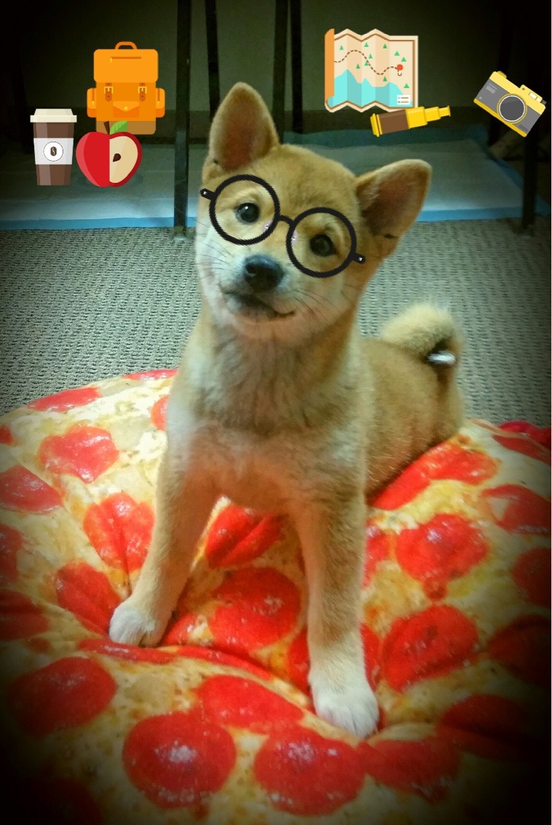 欧洲杯决胜时刻:战术变化带来意想不到的结局,欧洲杯决赛阶段规则