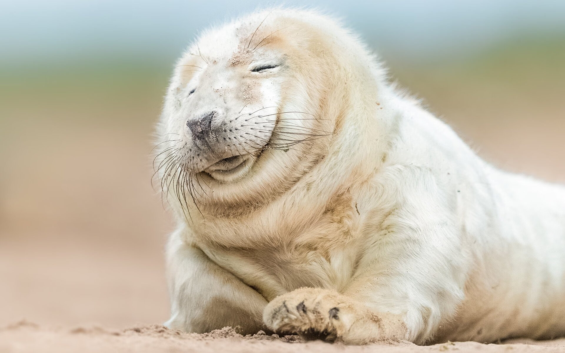 美洲杯明星降临:精彩突破,惊艳全场!,美洲杯著名球星