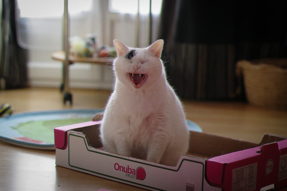 九游娱乐官网 (JIUYOU)-美职篮季后赛赛程正式公布，美职篮季后赛排名