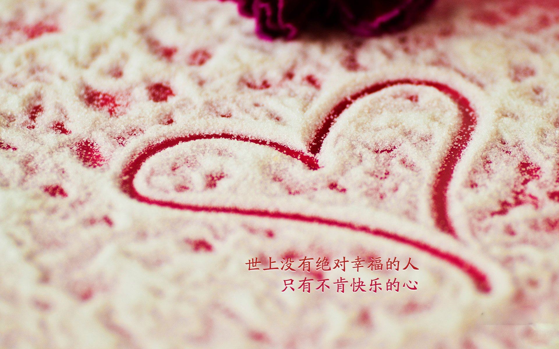拜仁锋线新星表现惊艳，未来之星如日中天，拜仁新阵容