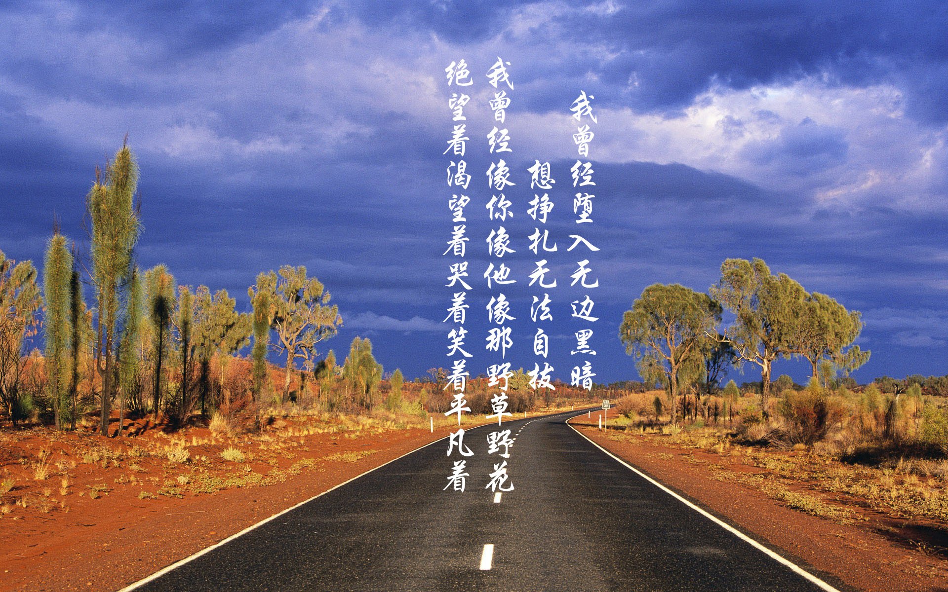 球队在比赛中展现出顽强拼搏的精神，形容球队精神的成语