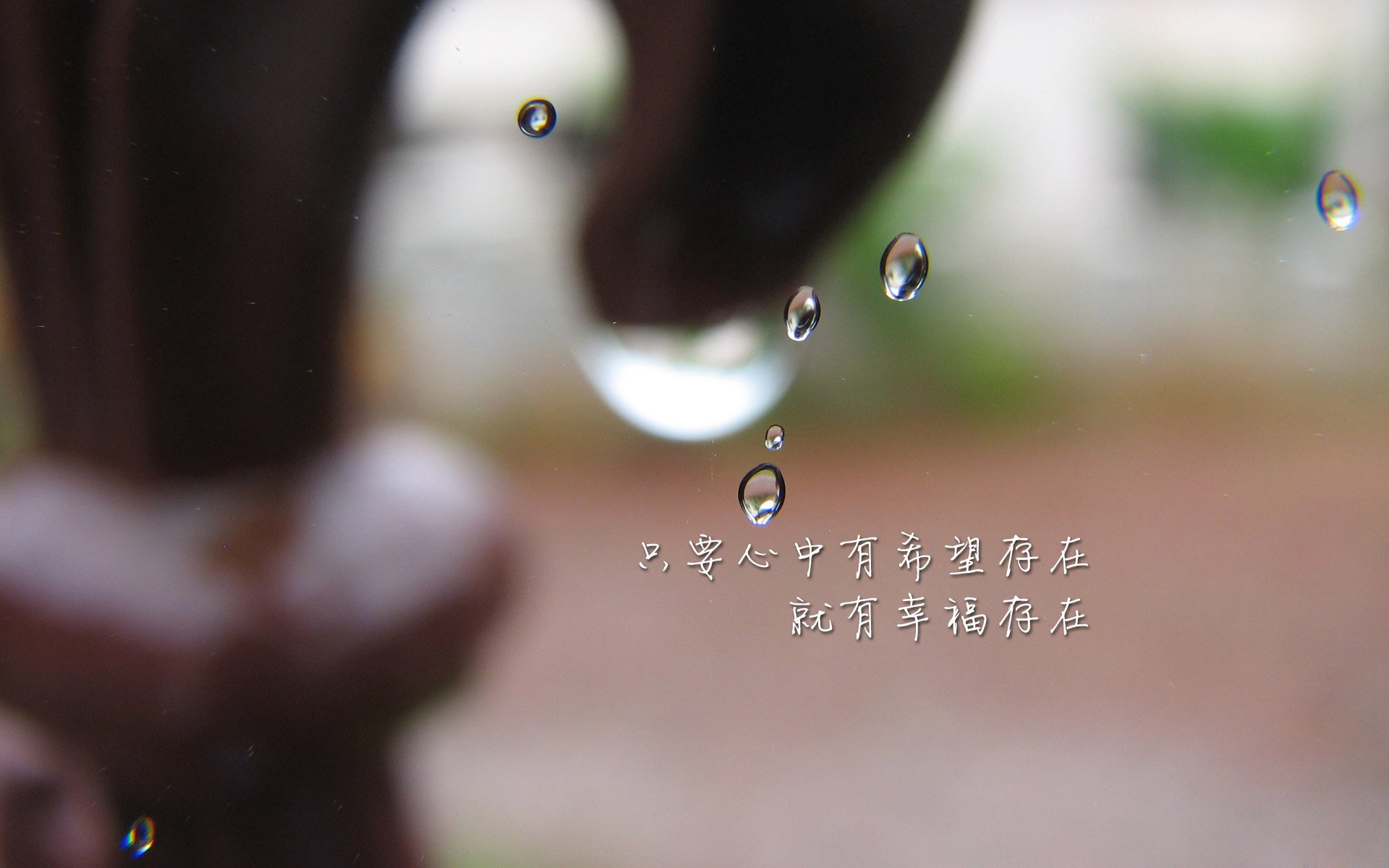 迈阿密国际与国内足球组织达成合作协议，迈阿密足球场