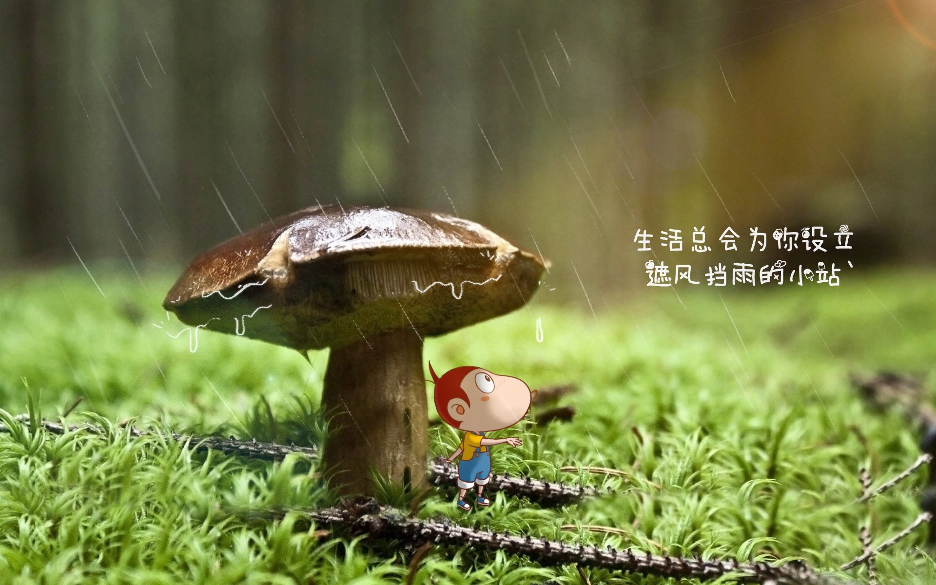 中国篮球青少年篮球发展政策落实及推广效果评估，青少年篮球教育行业分析