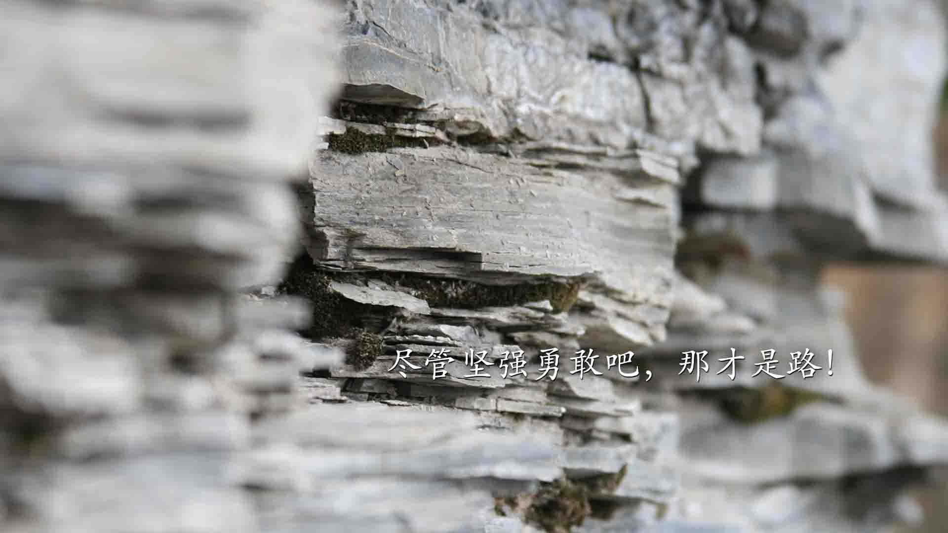 城市健身步道满意度测评与优化策略研究，健身步道项目建设内容